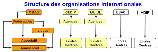 Organisation UE
